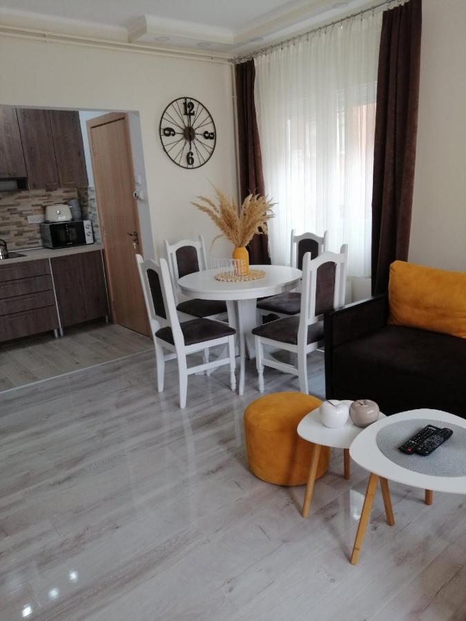 Apartman Zi-Zo Lejlighed Vrsac Eksteriør billede