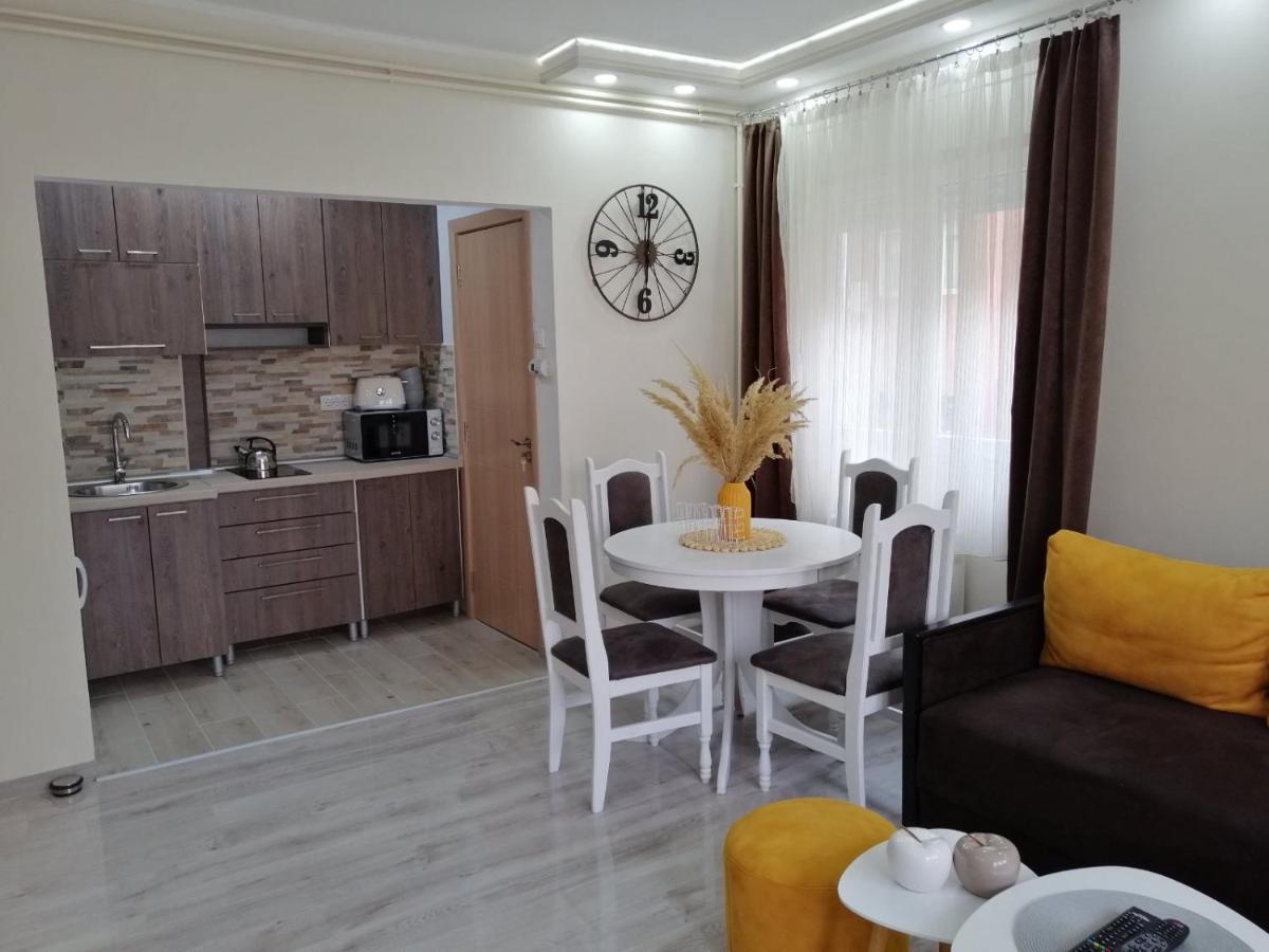 Apartman Zi-Zo Lejlighed Vrsac Eksteriør billede